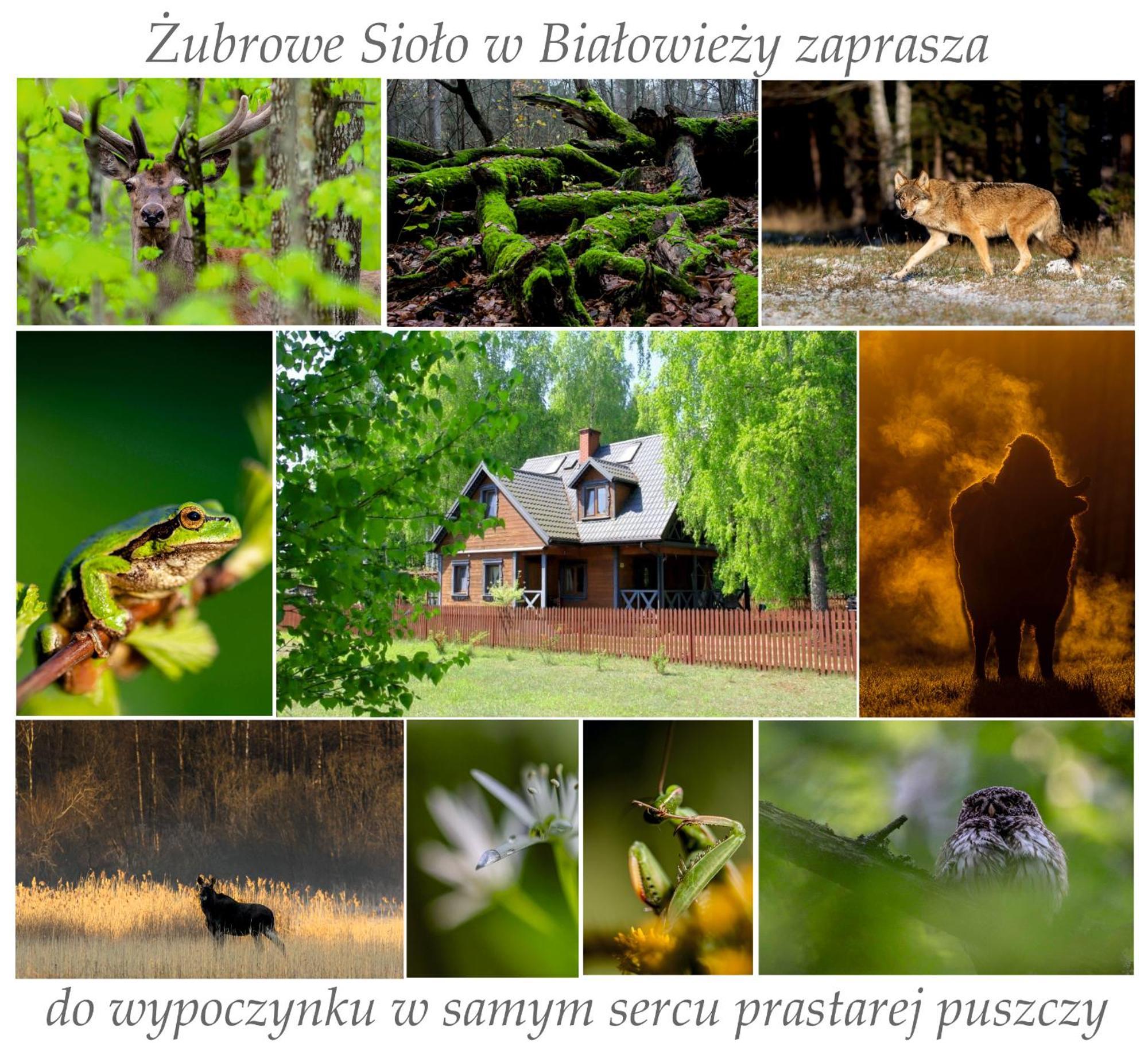 Apartament Jasinskiego Z Ogrodem Piaseczno  Esterno foto